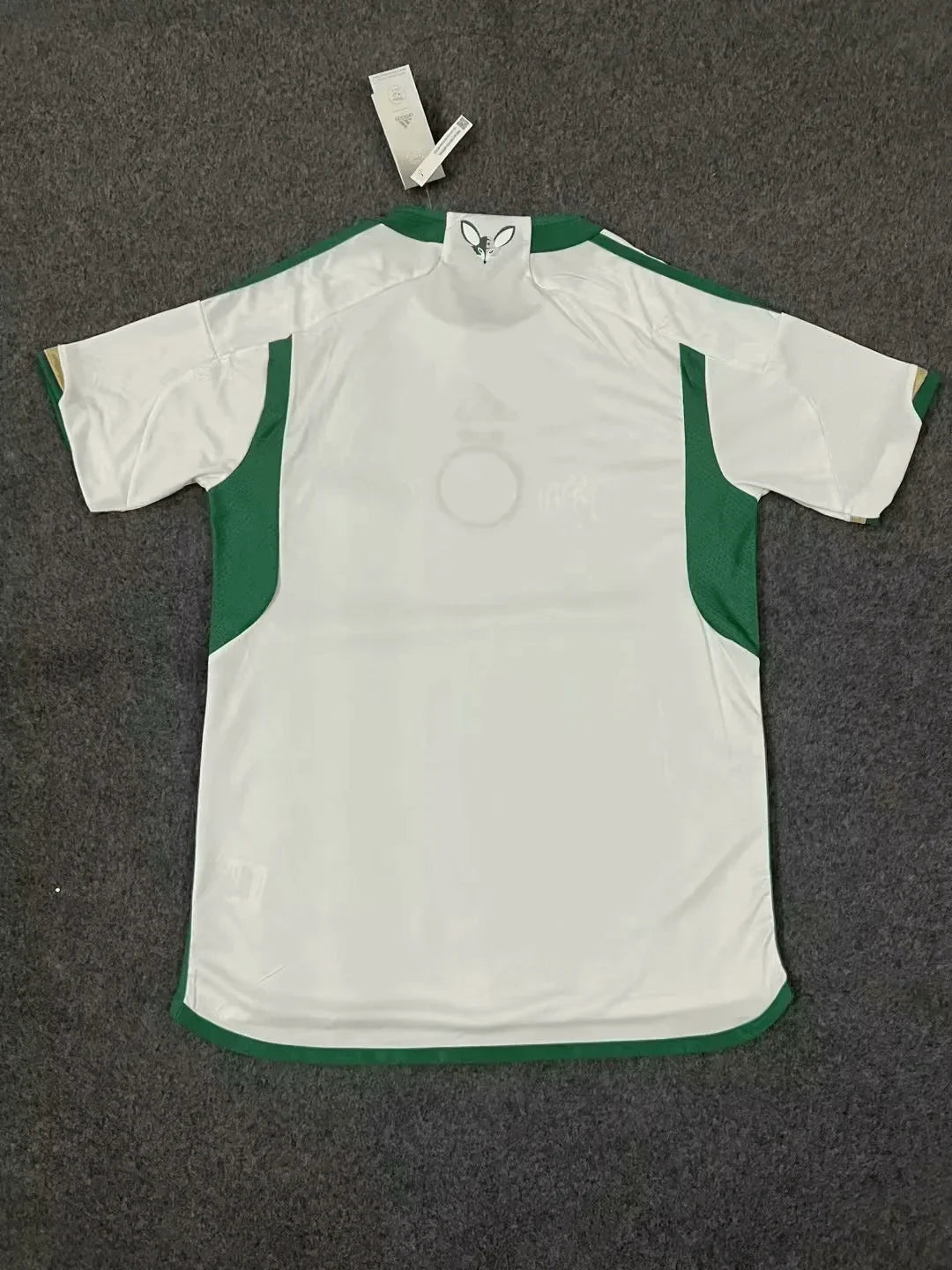 2023/2024 Algeria National Team Home Football Shirt
