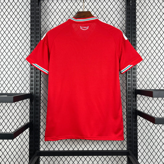 2026 Wales Home World Cup 2026 Football Shirt