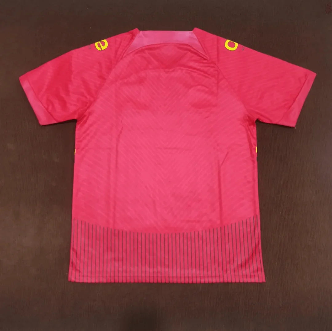 2023/2024 Cameroon National Team Away Football Shirt