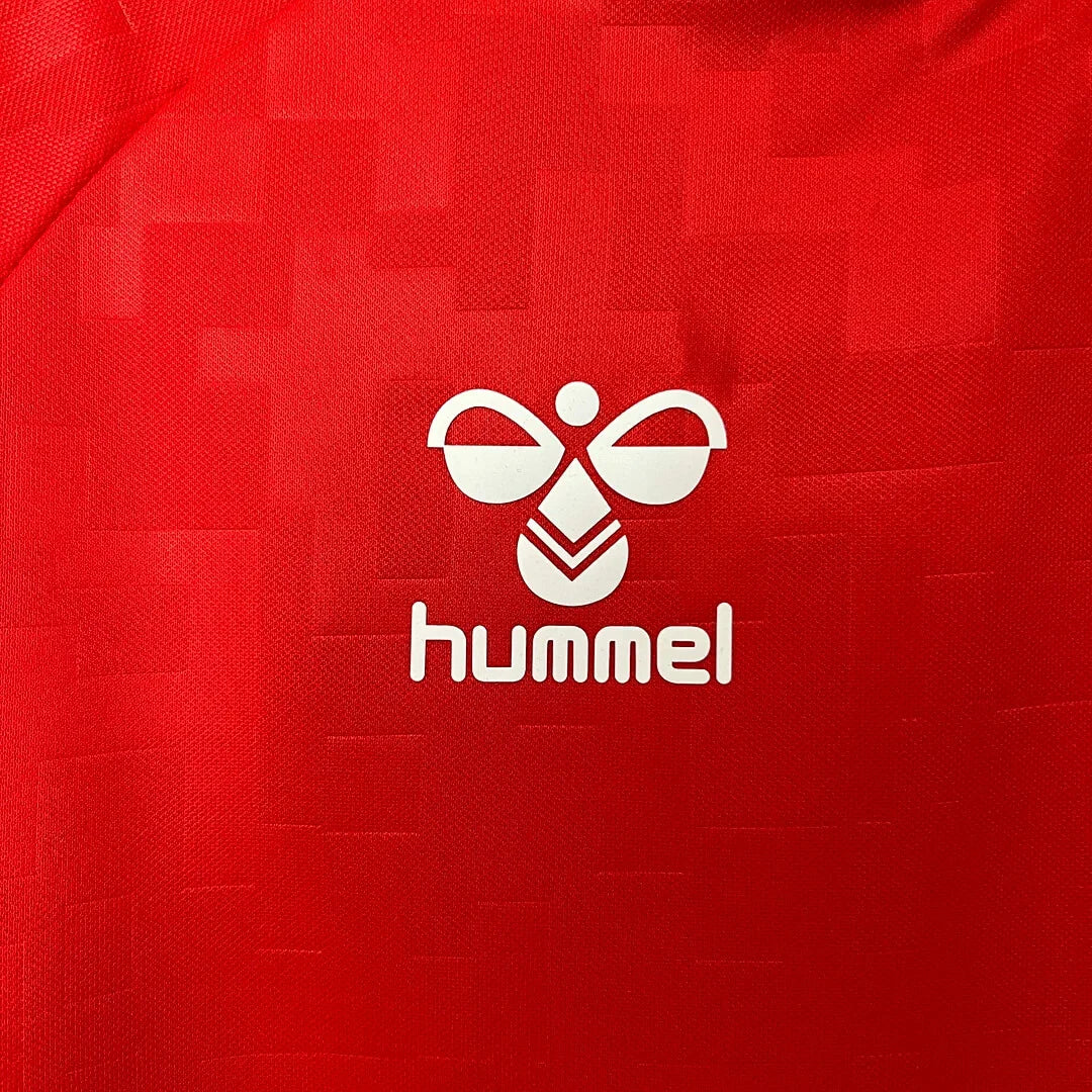 2024 Denmark National Team Home Football Shirt