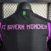 2023/2024 Bayern Munich Away Football Shirt - Player Version