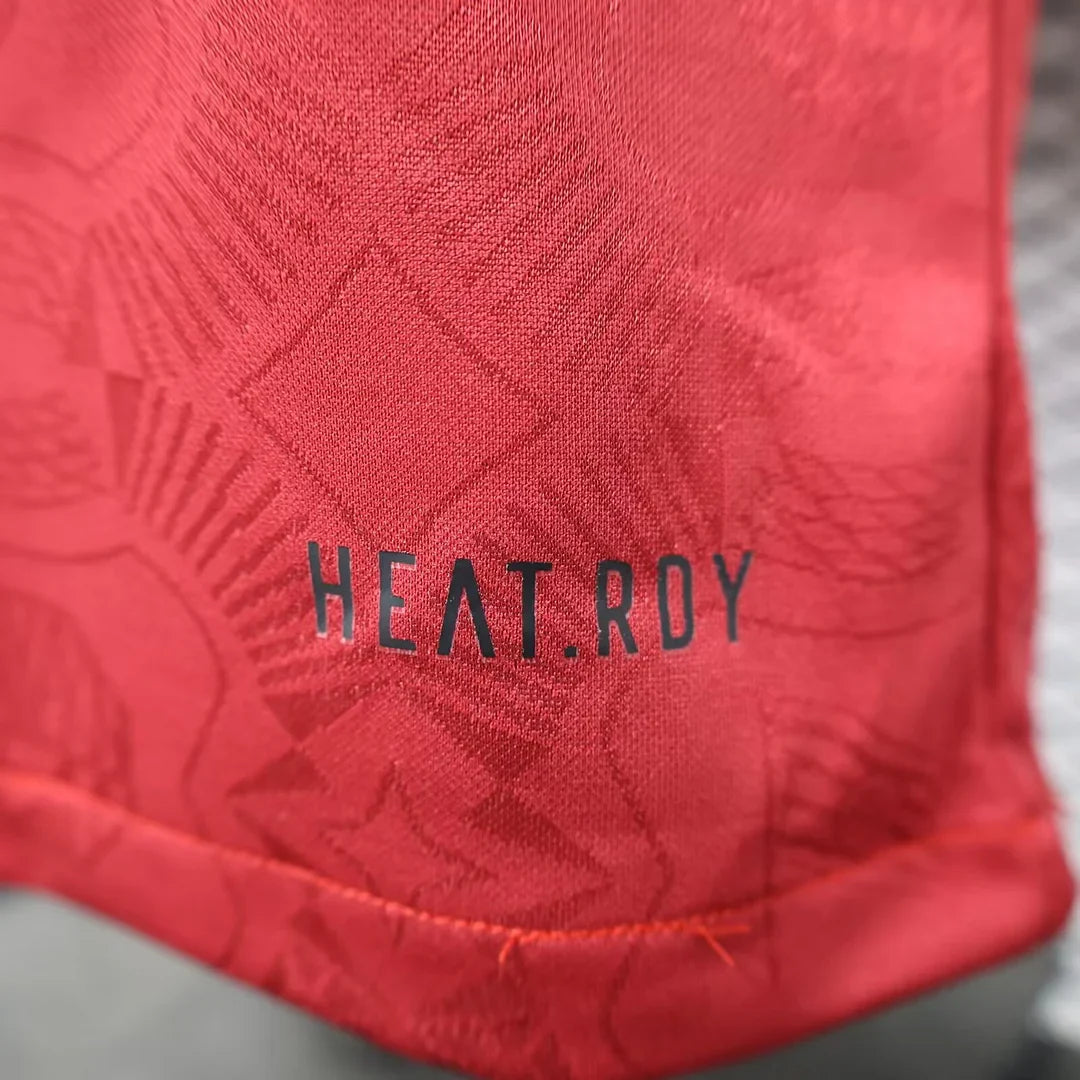 2024/2025 Bayern Munchen 125th Anniversary Football Shirt - Player Version