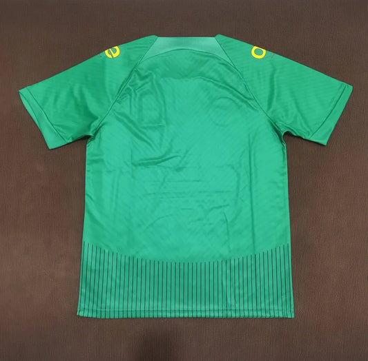 2023/2024 Cameroon National Team Home Football Shirt