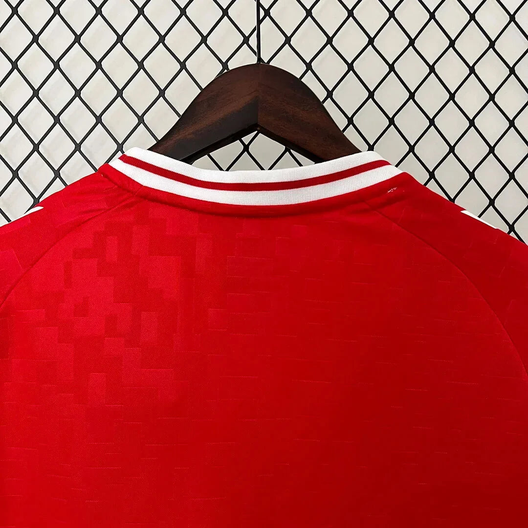 2024 Denmark National Team Home Football Shirt