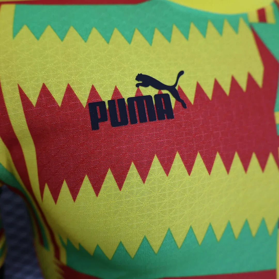 2023/2024 Ghana National Team Home Football Shirt - Player Version