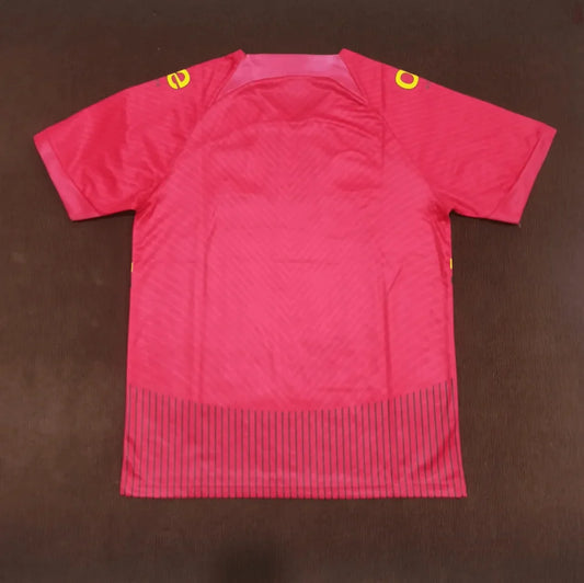 2023/2024 Cameroon National Team Away Football Shirt