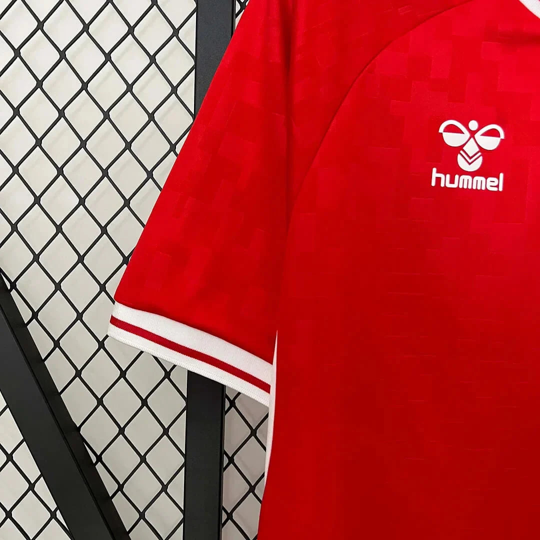 2024 Denmark National Team Home Football Shirt