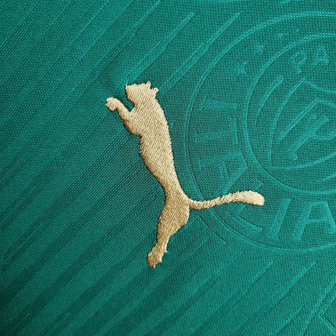 2024/2025 Palmeiras Home Football Shirt