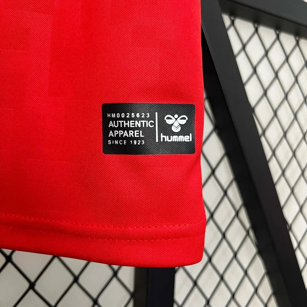 2024 Denmark National Team Home Football Shirt